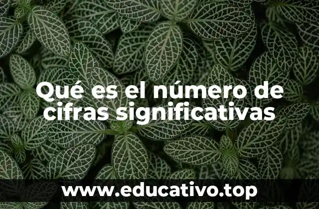 Qué es el número de cifras significativas