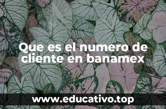 Que es el numero de cliente en banamex