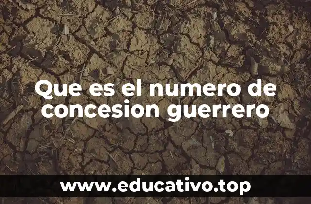 Que es el numero de concesion guerrero