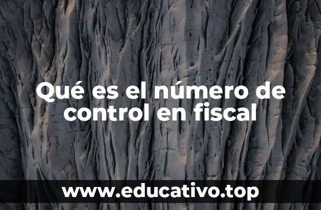 Qué es el número de control en fiscal