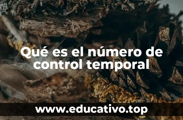 Qué es el número de control temporal