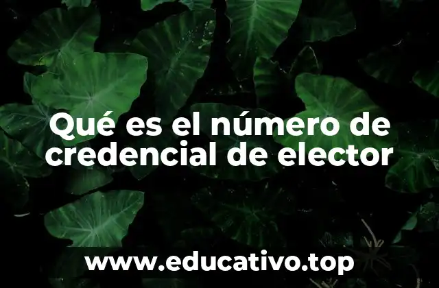 Qué es el número de credencial de elector