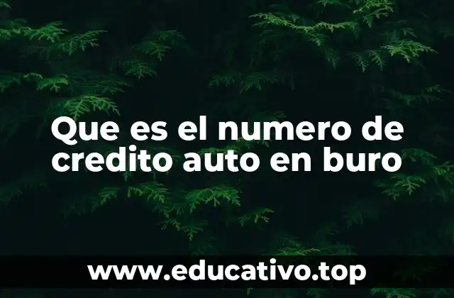 La importancia del identificador en sistemas crediticios