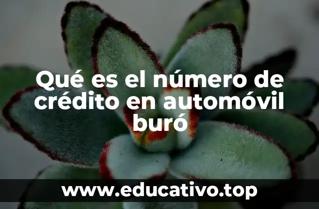 Qué es el número de crédito en automóvil buró