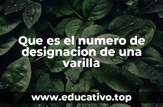 Que es el numero de designacion de una varilla