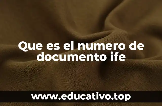 Que es el numero de documento ife