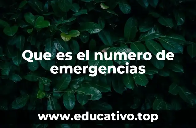 La importancia de tener acceso a un número de emergencias