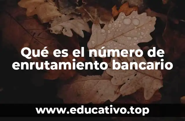 Qué es el número de enrutamiento bancario