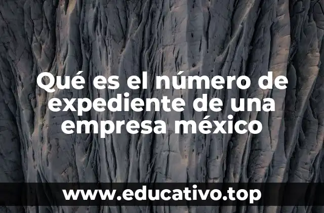 Qué es el número de expediente de una empresa méxico