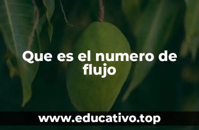 Que es el numero de flujo