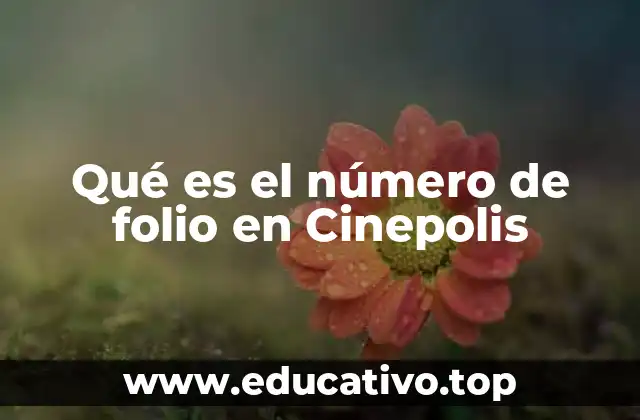 Qué es el número de folio en Cinepolis