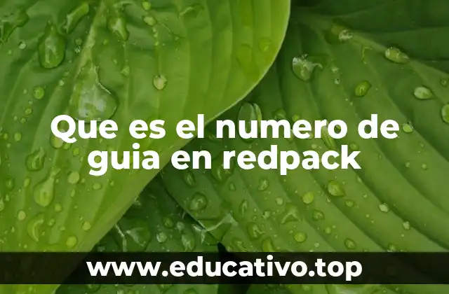 Que es el numero de guia en redpack