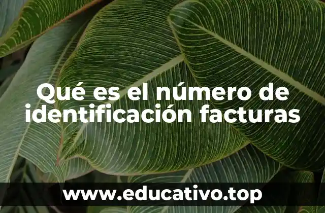 La importancia del número de identificación en los documentos fiscales