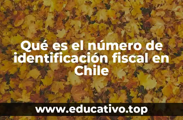 Qué es el número de identificación fiscal en Chile