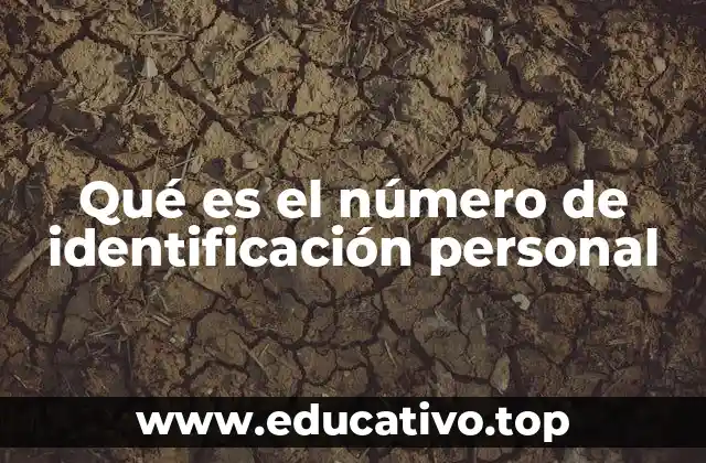 Qué es el número de identificación personal
