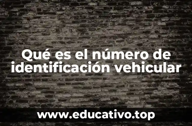 Qué es el número de identificación vehicular