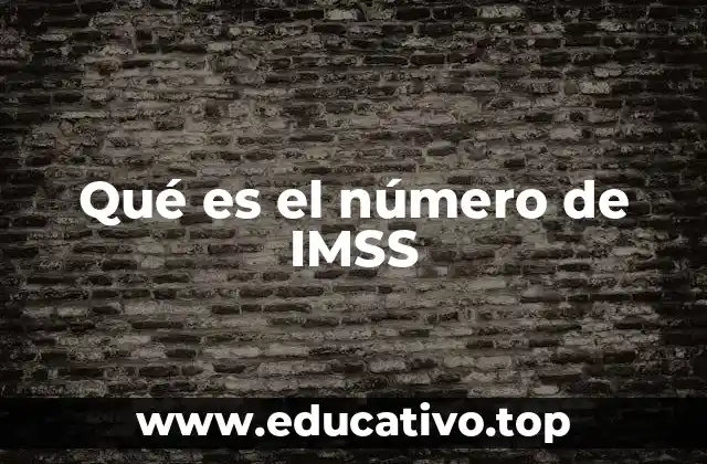 Qué es el número de IMSS