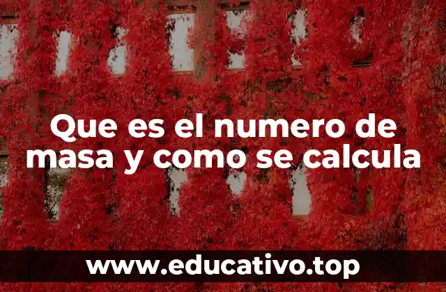 La importancia del número de masa en la identificación atómica