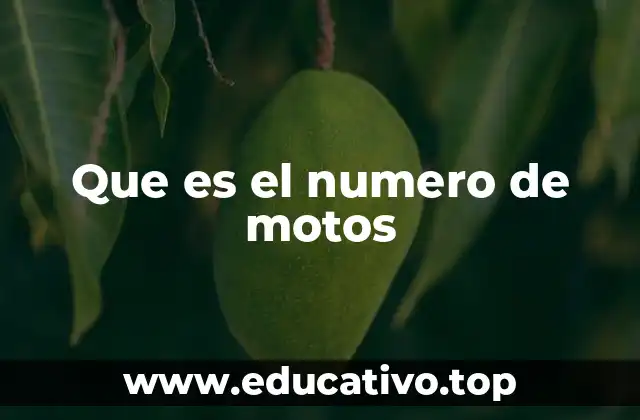 Que es el numero de motos