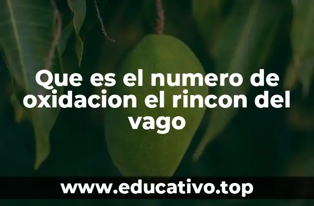 Que es el numero de oxidacion el rincon del vago