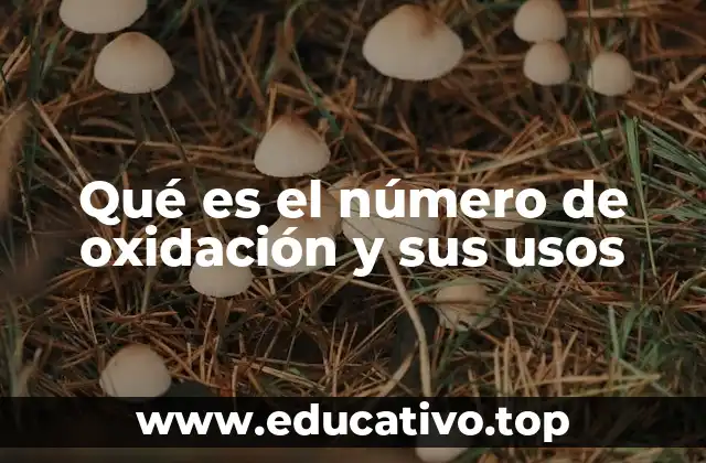 Qué es el número de oxidación y sus usos