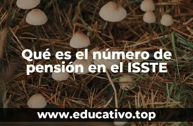 Qué es el número de pensión en el ISSTE