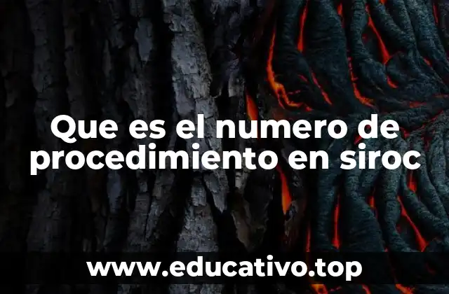 El rol del número de procedimiento en la gestión de trámites