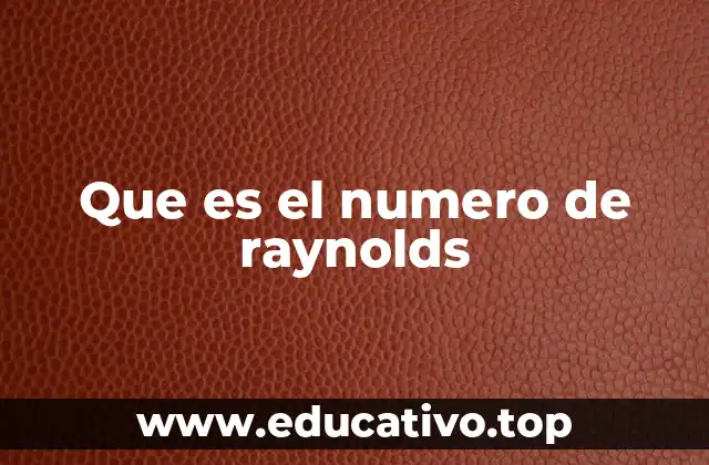 Que es el numero de raynolds