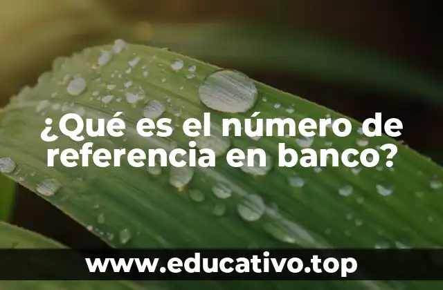 ¿Qué es el número de referencia en banco?