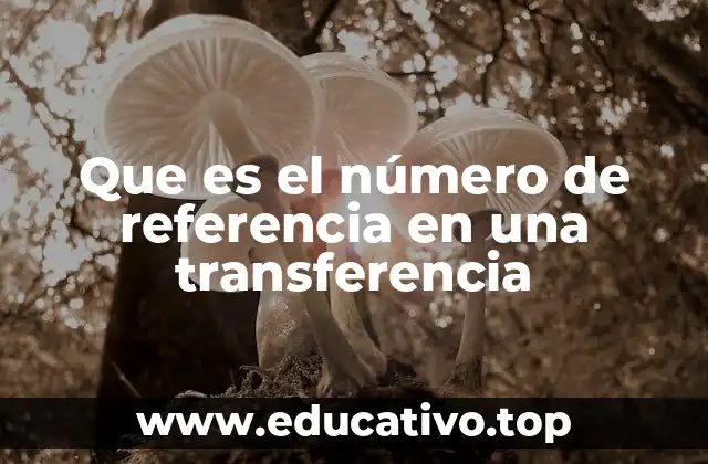 Que es el número de referencia en una transferencia