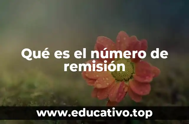 Qué es el número de remisión