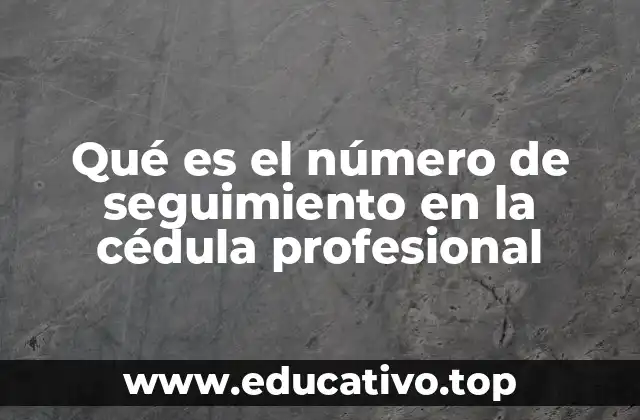 Qué es el número de seguimiento en la cédula profesional