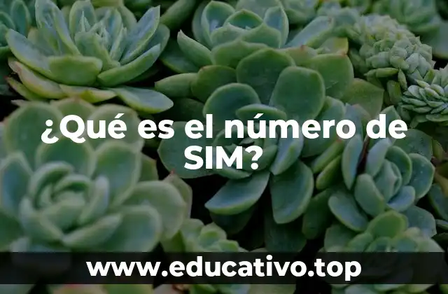 La importancia de tener un número de SIM activo