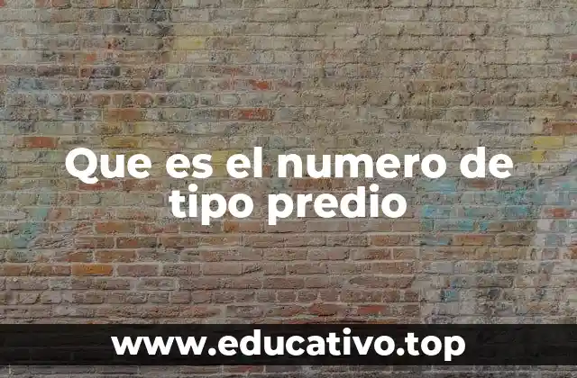 Que es el numero de tipo predio