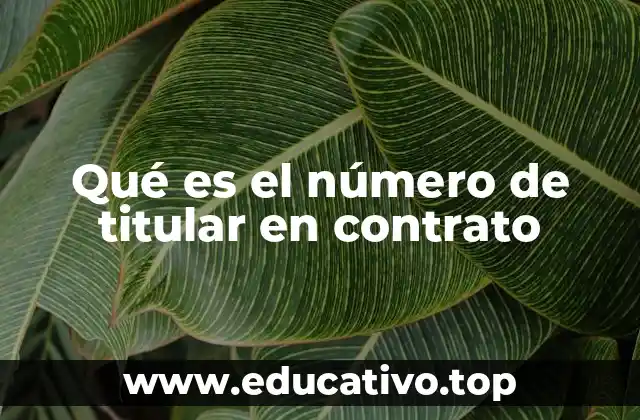 Qué es el número de titular en contrato