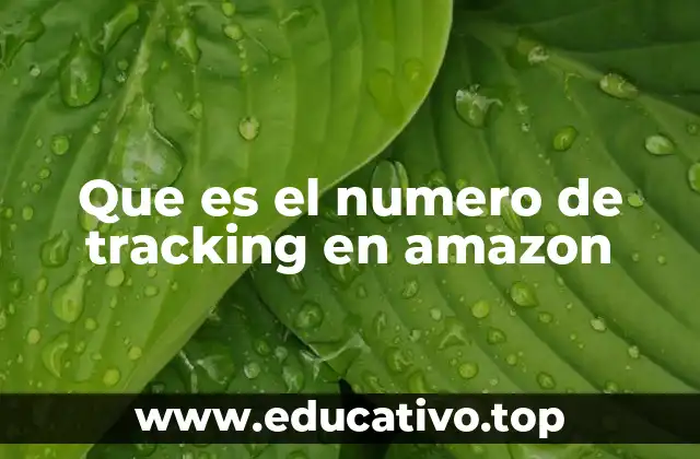 Que es el numero de tracking en amazon