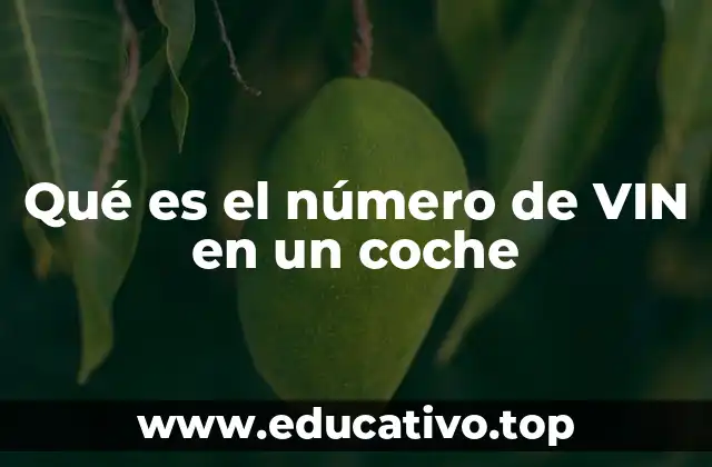 Qué es el número de VIN en un coche