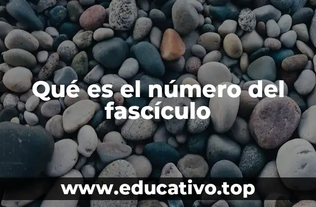 Qué es el número del fascículo