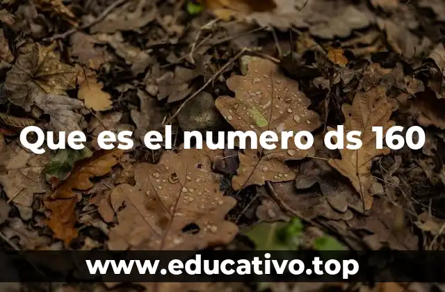 Que es el numero ds 160