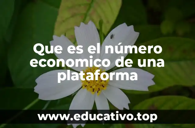 Que es el número economico de una plataforma