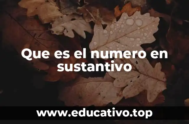 Que es el numero en sustantivo