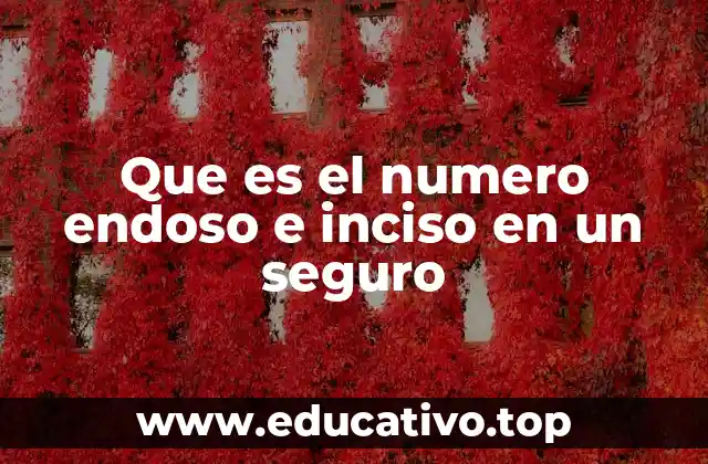 Que es el numero endoso e inciso en un seguro