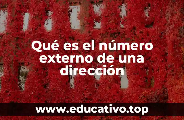 Qué es el número externo de una dirección