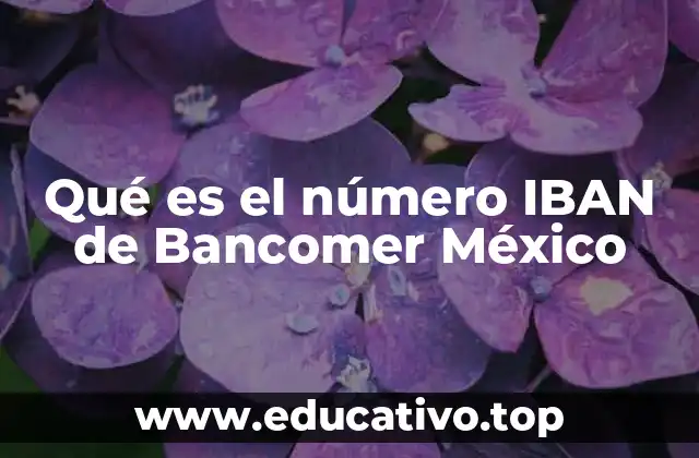 Qué es el número IBAN de Bancomer México