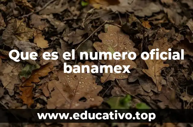 Que es el numero oficial banamex