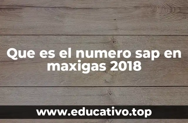 Que es el numero sap en maxigas 2018