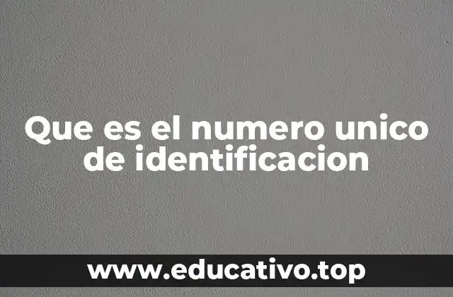 Que es el numero unico de identificacion
