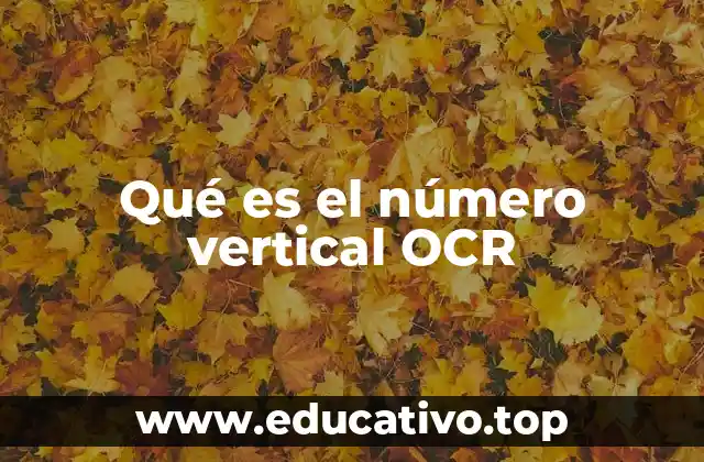 Qué es el número vertical OCR