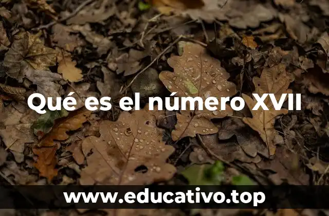 Qué es el número XVII