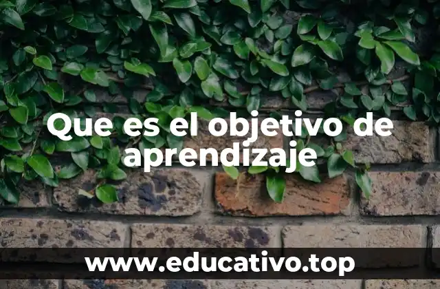 Que es el objetivo de aprendizaje